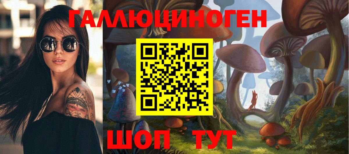 Галлюциногенные грибы ЛСД  Псилоцибиновые грибы мицелий  Дальнереченск  Вход с VPN 