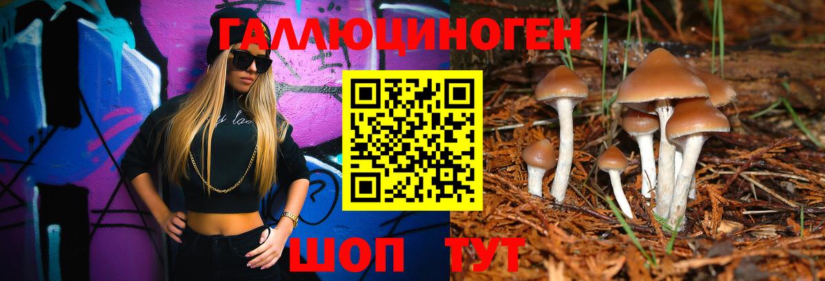 Галлюциногенные грибы ЛСД Дальнереченск